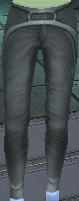 955 Gray Trousers (Female) Image