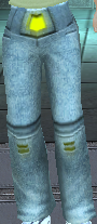 1127 Stunning Bell Bottom Pants (Female) Image