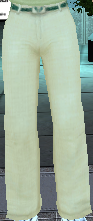 961 Diplomatic Trousers (Female) Image